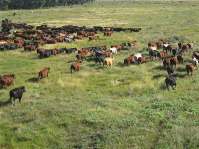 4 weeks later Jan 2011_674