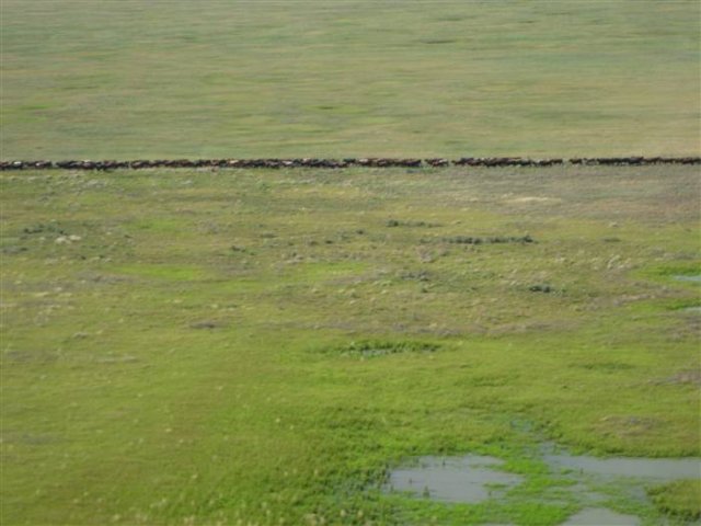 4 weeks later Jan 2011_684